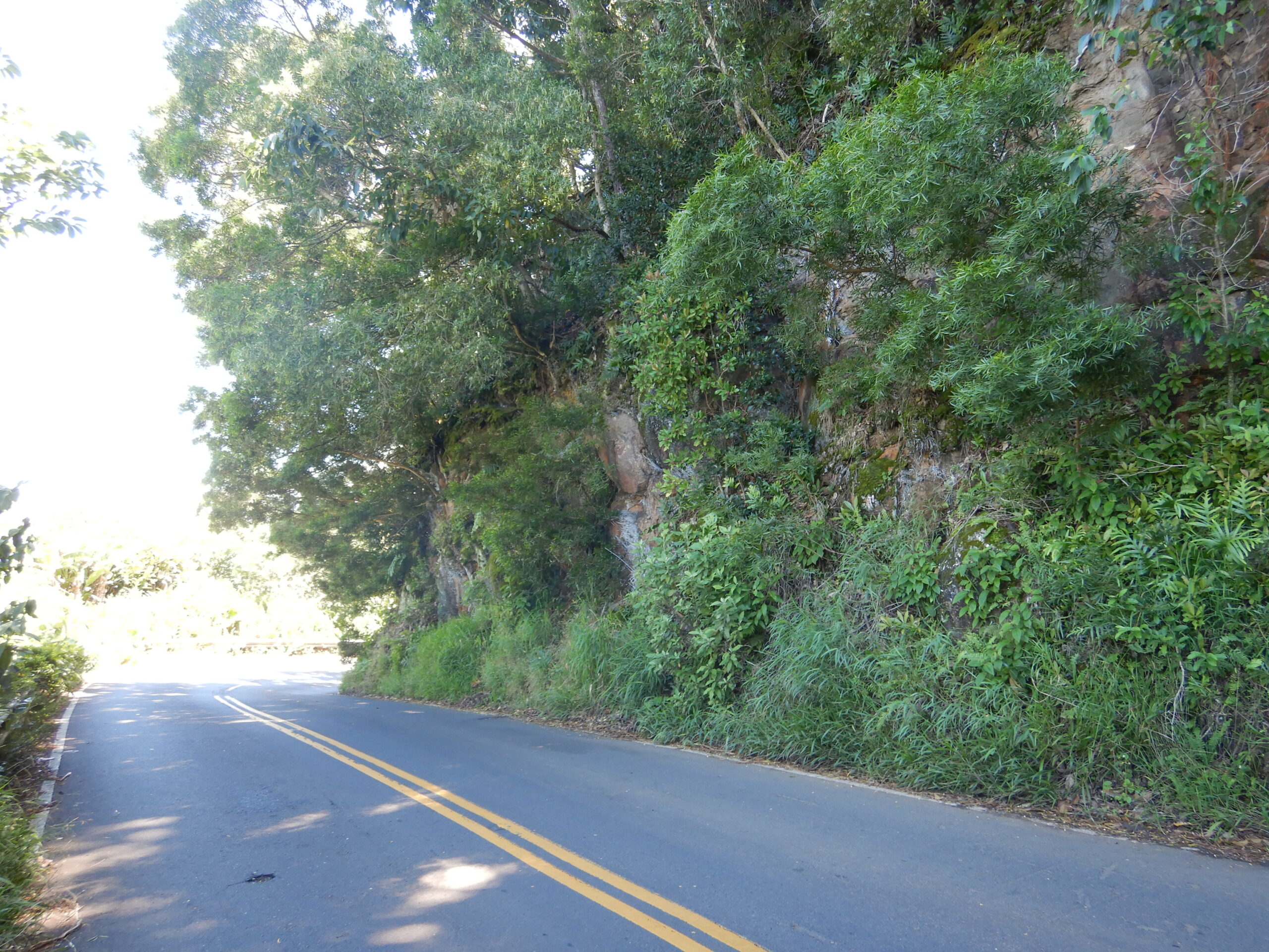 DSCN0579