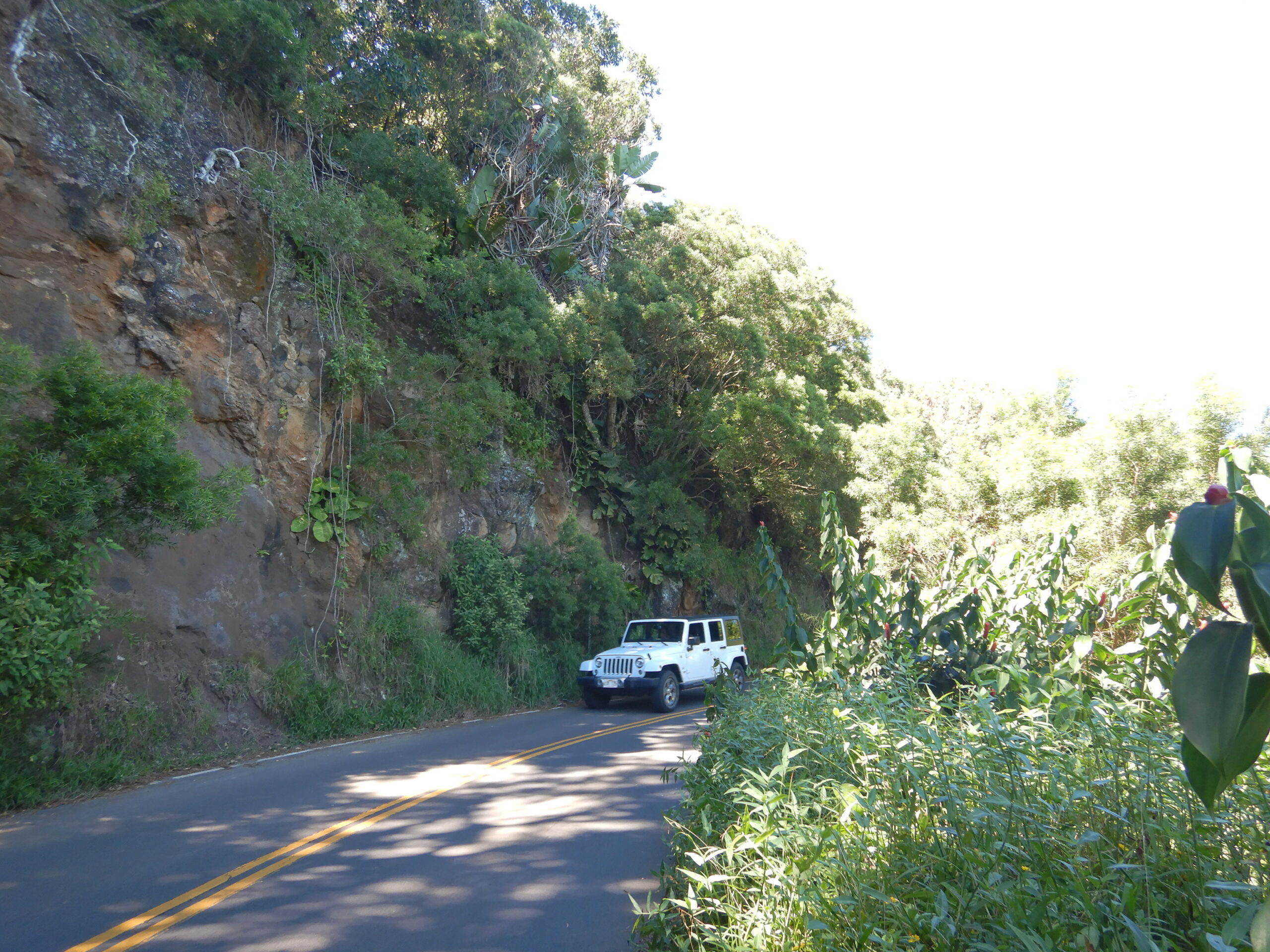 DSCN0580